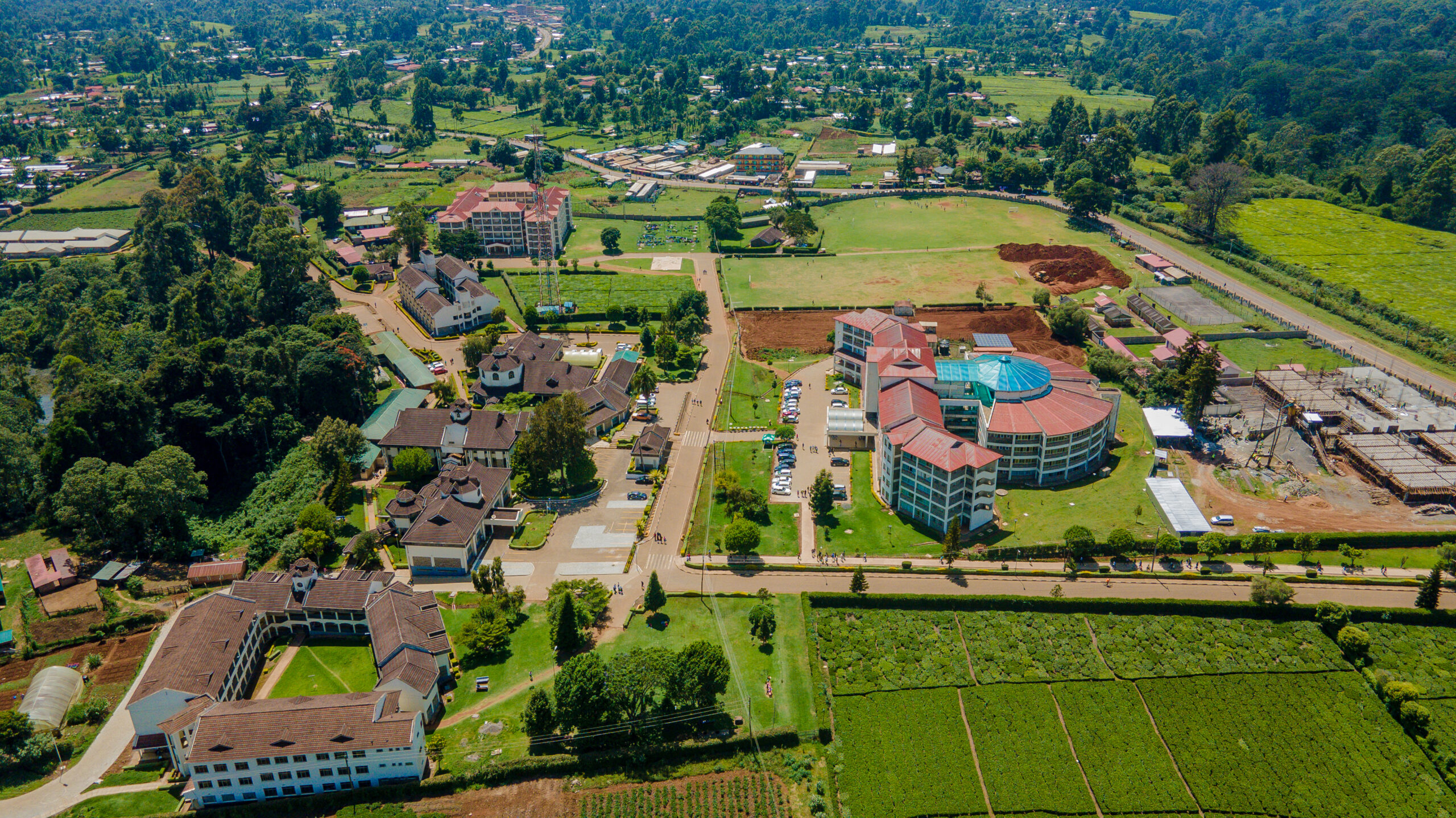School of Education
